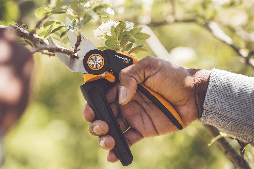 Hand schneidet Ast mit Gartenschere